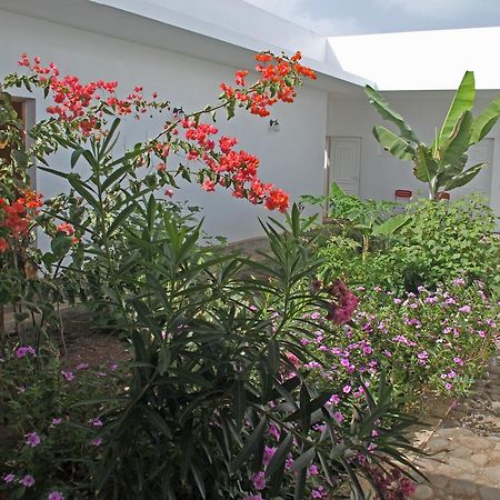 Villa Sao Jose Pedra Badejo  Dış mekan fotoğraf