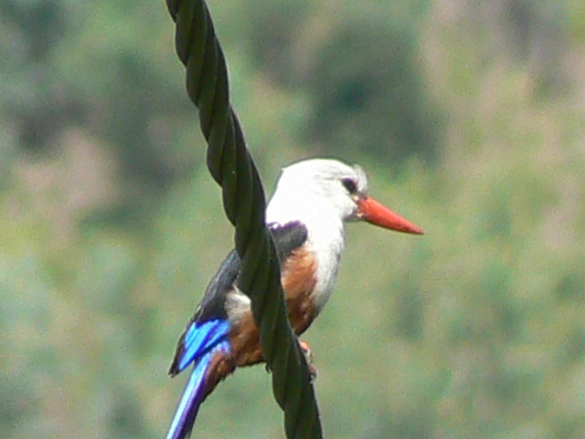 Villa Sao Jose Pedra Badejo  Dış mekan fotoğraf